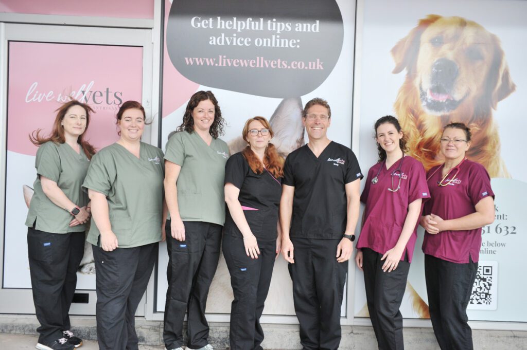 live-well-vets-independent-vet-practice-in-llantrisant-pontyclun-10