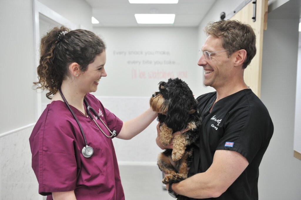 live-well-vets-independent-vet-practice-in-llantrisant-pontyclun-11