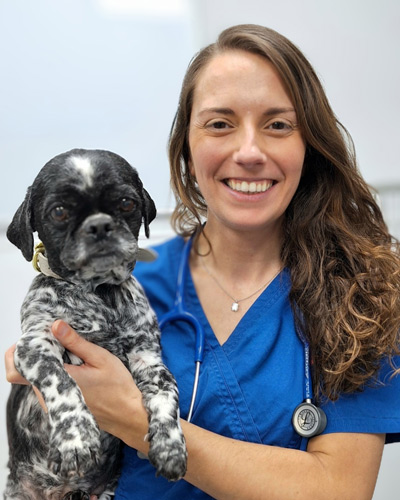 Sandra - Live Well Vets | Veterinary Referrals Services